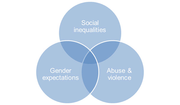 Gender and Inequalities Graphic